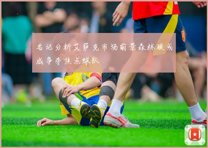 名记分析艾萨克市场前景森林狼或成争夺焦点球队